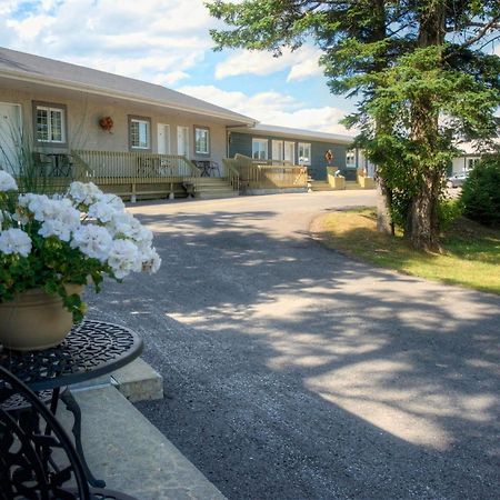 Motel Des Cascades Baie-Saint-Paul Dış mekan fotoğraf