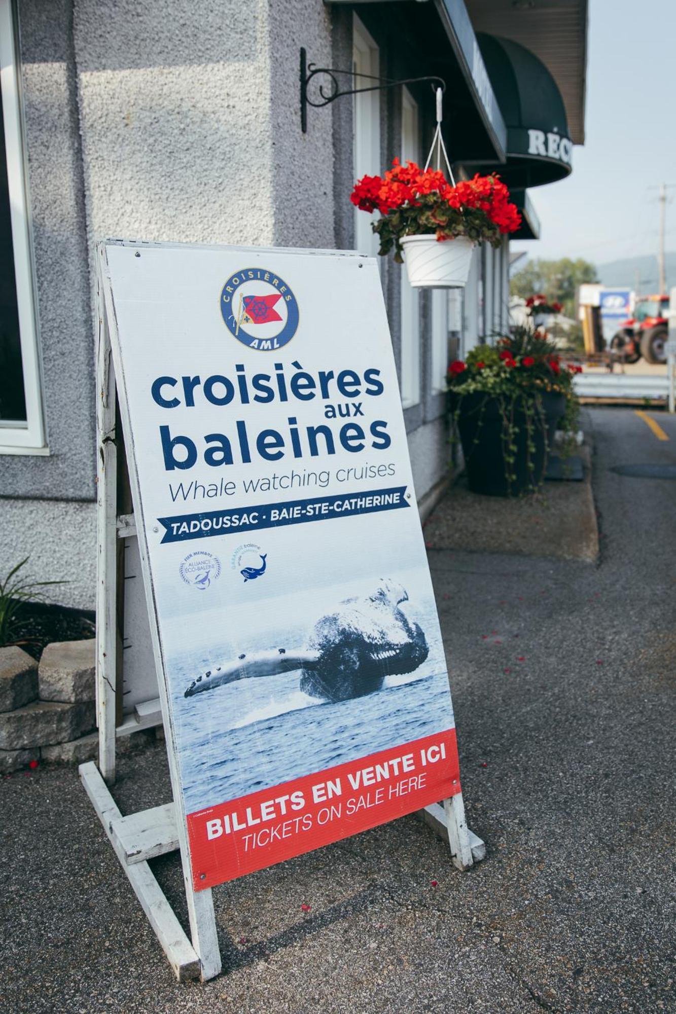 Motel Des Cascades Baie-Saint-Paul Dış mekan fotoğraf