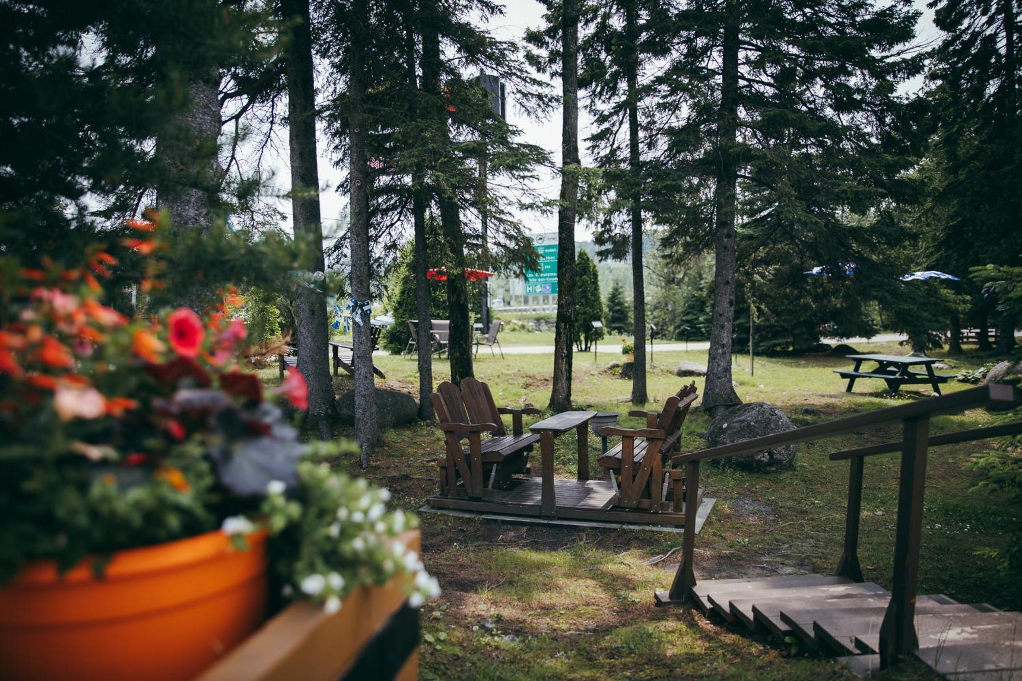 Motel Des Cascades Baie-Saint-Paul Dış mekan fotoğraf